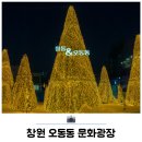 오동동 | 창원 놀거리 마산 가볼만한곳 오동동 문화광장 크리스마스 트리 후기