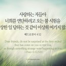 오늘의 &#39;영어성경 사진&#39;(357강) “연단(鍊鍛)”(베드로전서 4장 12절) 이미지