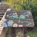 고대산캠핑리조트 이미지