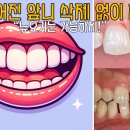 뉴욕굿모닝치과의원 이미지