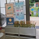 햇빛누리 | 임진각 평화누리 곤돌라 가격 케이블카 이용후기