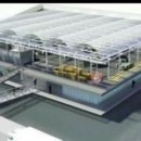 수상목장 이미지