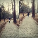 방방곡곡 노래연습장 | [서울당일여행]건대,어린이대공원,마포대교생명의다리