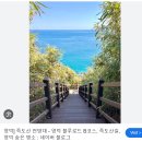2025년 4월 25일 ~ 27일 영덕물가자미 축제 후기, 특징, 인근맛집, 인기음식, 추천 숙박, 교통·주차...