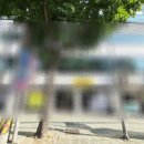 J1916 네이버블로그