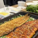 기통찬장어 이미지