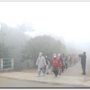 룸비니동산