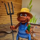 에코식물 생태도감 | 화성시 반석산 에코스쿨 도심 속 숲에서 즐기는 생생한 자연 생태 체험 나들이