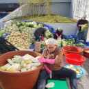 광남1동-11 이미지