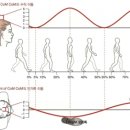 리커버 운동센터 이미지