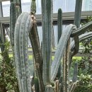 (주)대능 네이버블로그