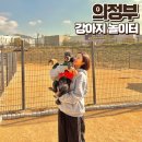 이동운동장 축구장 | 경기 의정부 애견운동장 반려견놀이터 서울근교 애견동반 강아지랑 가볼만한곳