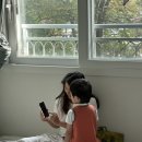 병국 | BMW E34 M5 타고, 삼성화재 모빌리티 박물관 다녀온 후기