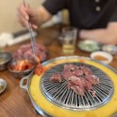 장수갈매기 이미지