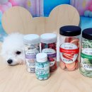 건강한펫 이미지