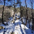 도림사계곡 이미지