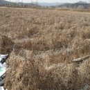 노내골농장 이미지