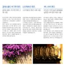 A010 이미지