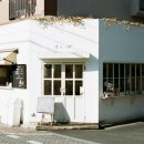 카페하라 이미지