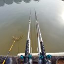 함박골낚시터 이미지