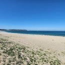 평해사구습지 이미지