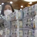 FX KOREA 카카오 검색결과
