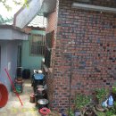 회성동113 이미지