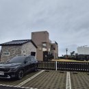 동일리-6 | 제주 모슬포항 애견 동반 펜션 강아지 운동장 숙소