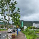 김해메가마트 이노티안경 | 김해안경, 김해컬러렌즈, 위드렌즈김해점 허니원데이 [이노티안경 김해진영점] 후기