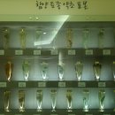 함양약초과학관 Daum카페