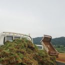 문경게이트볼장 이미지