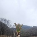 산내들농장 이미지