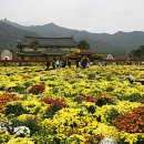 영암매점 이미지