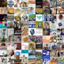 대명사회복지관 | 블로그 인기 포스팅만 모아: 매일 최신의 인기 블로그 포스팅을 한곳에서!! (2025.07.15 23:16)