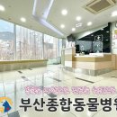 부산종합동물병원 이미지