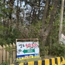 영도농원 | 부산 영도 맛집 애견동반 가능한 영도 솔밭농원에서 오리불고기 내돈내먹 후기