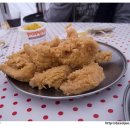 [오토캠핑]파주 느티나무캠핑장 2.4~5