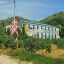 한삶갤러리카페 이미지