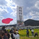 맹방초등학교 | 2025 삼척 유채꽃 축제 주차 먹거리 기차체험 등 꿀팁