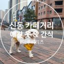 꼼당 이미지