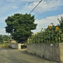 후광경로당 이미지