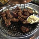 그린피그 이미지