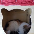 두리두리 - 중구 평산1길 22-3 | 두리두리