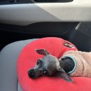 고건농장 | 26.03.22