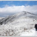 12월23일(제564차)겨울왕국 국립공원 덕유산 눈꽃 산행입니다. 이미지