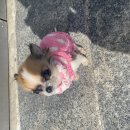 강릉폴게스트하우스 이미지