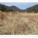 고성부동산중개사무소 이미지