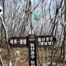 죽포(여) 티스토리
