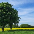 대구민박 이미지