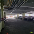 옥천사우나 | [대전 가오동] 킹스불가마사우나